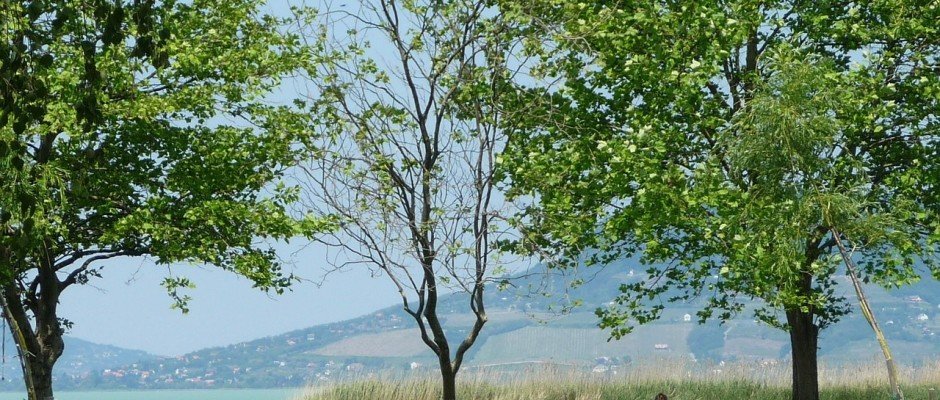 balaton